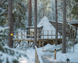 Suède Laponie Gunnarsbyn Aurora Safari Camp Tipi Cabins Bois Foret Neige Hiver Séjour Hébergement Insolite Voyage O-Nord
