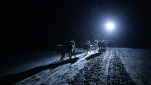 Svalbard Spitzberg séjour aurores boréales nuit polaire observation montagnes neige hiver activité excursion chiens traineau voyage o-nord