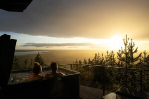 Finlande Séjour Hotel Giant Arctic Aurora Birdhouse Nichoir bain remous extérieur soleil relaxation confort vue foret Chalet voyage o-nord