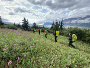Canada Yukon Whitehorse Trekking Randonnée Glacier Donjek Nature Flore Marche Paysage Montagne Eté Voyage O-Nord