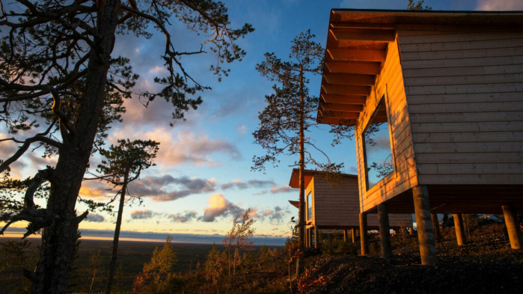 Finlande Séjour Hotel Giant Arctic Birdhouse Nichoir Vue foret été Chalet voyage o-nord