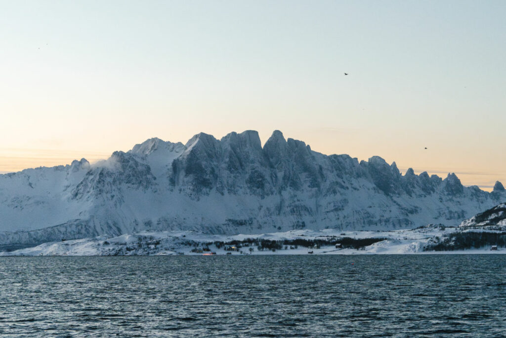 Norvège Arctique Magie Hivernale Glacier Neige Foret Nature Paysage Croisière Polarfront Séjour Voyage O-Nord