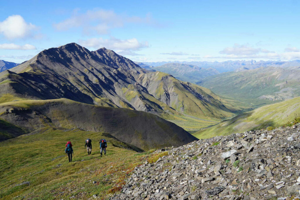 Canada Yukon Whitehorse Trekking Randonnée Mountains Ogilvie Randonnée Nature Sauvage Paysage Montagne Eté Voyage O-Nord