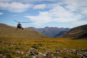 Canada Yukon Whitehorse Trekking Randonnée Bisons Hélicoptère Vol Faune Nature Sauvage Paysage Montagne Eté Voyage O-Nord