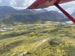 Canada Yukon Whitehorse Trekking Randonnée Montagnes Côtières Animaux Faune Sauvage Paysage Montagne Eté Voyage O-Nord
