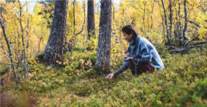 Finlande Loppi Terwa Séjour Activités Vin Nature Voyage O-Nord