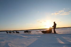 Finlande Vuokatti chiens traineau husky huskies neige soleil expedition neige activités Voyage O-Nord