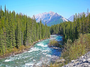 Canada Ouest Autotour Alberta Colombie Britannique Maligne Rivière Foret Sapin Montagnes Paysage Nature Voyage O-Nord