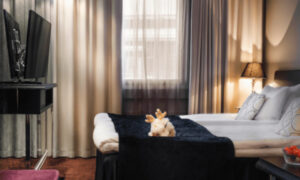 Finlande Laponie Rovaniemi Arctic City Hotel Séjour Hiver Hébergement Chambre Twin Classique Voyage O-Nord