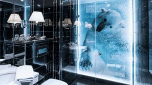 Finlande Laponie Rovaniemi Hotel Séjour Hiver Arctic Light Magic Double Douche Ours Voyage O-Nord