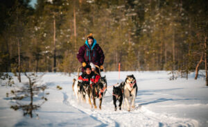 Finlande Laponie Rovaniemi Séjour Famille Santa Claus Holiday Village Safari Chiens Husky Huskies Traineau Activité Hiver Voyage O-Nord