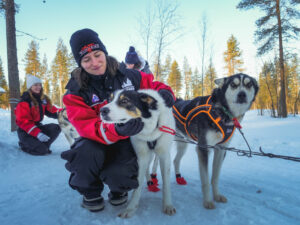 Finlande Laponie Rovaniemi Séjour Santa Claus Holiday Village Safari Husky Huskies Chiens Traineau Activité Hiver Voyage O-Nord