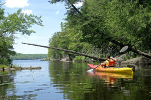 Canada Québec Trio Magique Saint-Laurent Niagara Cantons de l'Est Kayak Excursions Activité Foret Nature Découverte Voyage O-Nord