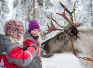 Finlande Laponie Rovaniemi Séjour Santa Claus Holiday Village Safari Rennes Animaux Traineau Famille Hiver Voyage O-Nord
