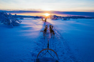FInlande Laponie Hotel Star Arctic Séjour Hiver Paysage Activités Neige Traineau Chiens Huskies Husky Soleil Voyage O-Nord