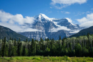 Canada Ouest Alberta Colombie Britannique Autotour Foret Montagnes Clearwater Glaciers Sapin Arbres Nature Voyage O-Nord