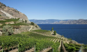 Canada Ouest Alberta Colombie Britannique Okanagan Champs Paysage Nature Voyage O-Nord