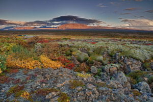 Islande Autotour Eté Nature aventure Thingvellir Paysage Voyage O-Nord
