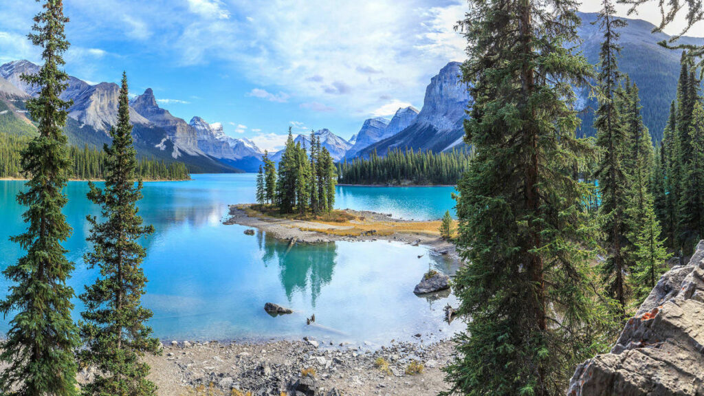 Canada Ouest Alberta Colombie Britannique Autotour Foret Jasper Lac parc National Montagnes Sapin Arbres Nature Voyage O-Nord