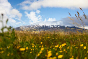 Islande Autotour Eté Nature aventure Snæfellsjökull Montagnes Paysage Voyage O-Nord